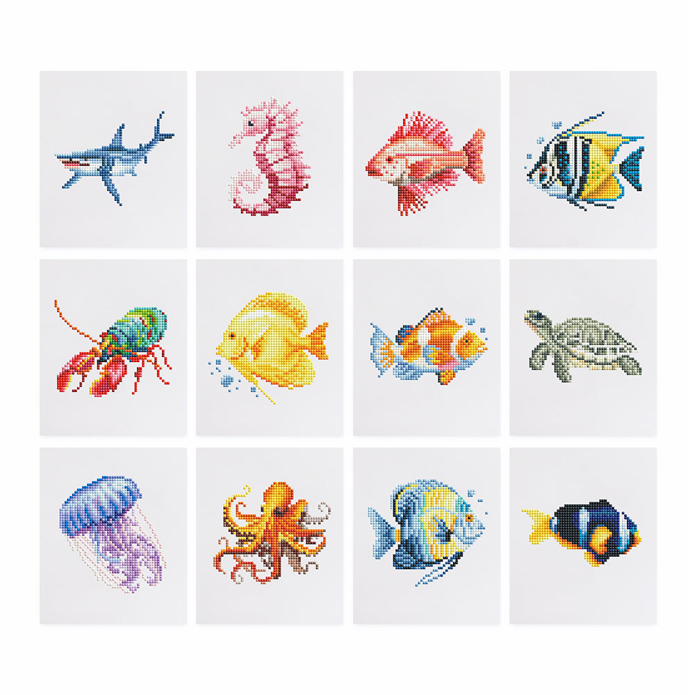 Oceanic Wonders Pack (12pcs)