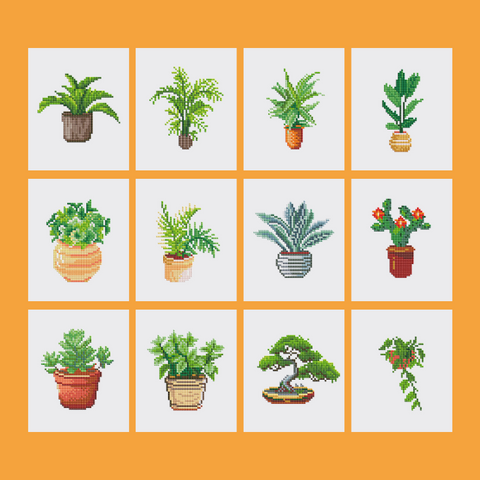 Houseplants Pack - 3rd Edition (12pcs)