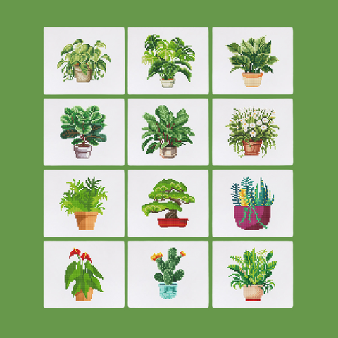 Houseplants Pack - 2nd Edition (12pcs)