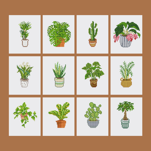 Houseplants Pack (12pcs)